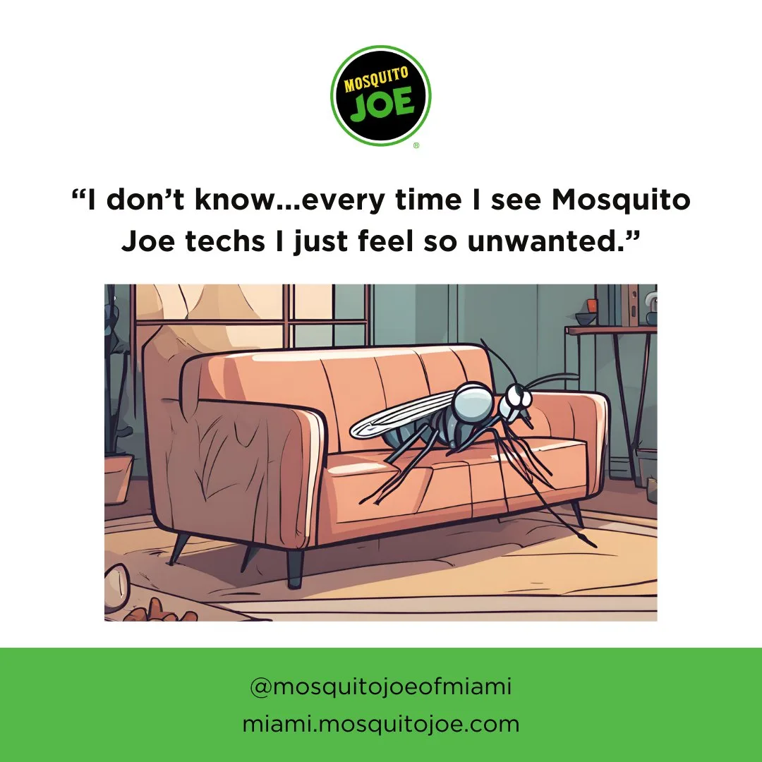 A Mosquito Joe of Miami humor post