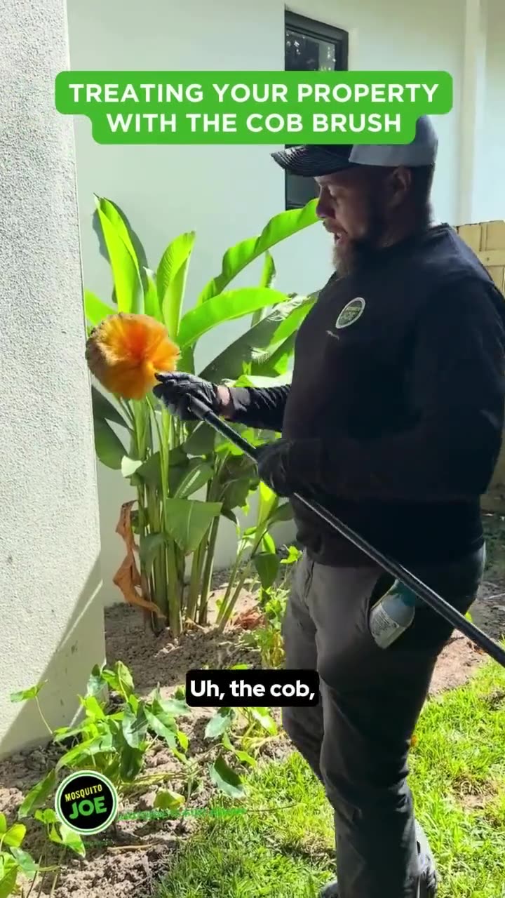 Cob brush treatment video