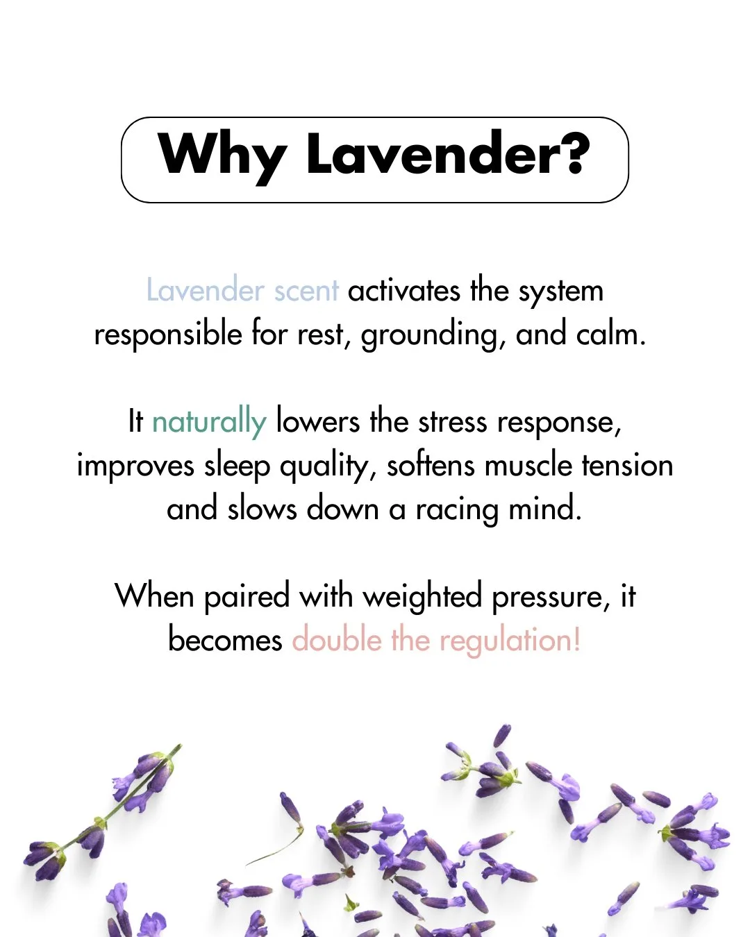 The why lavender carousel slide